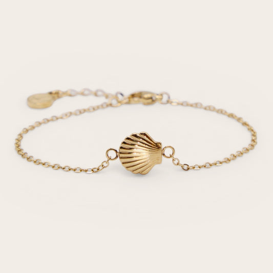 Sea Shell Charm Bracelet Set